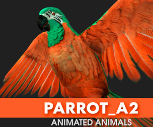 Parrot_A2