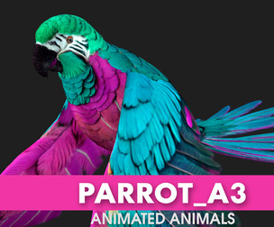 Parrot_A3