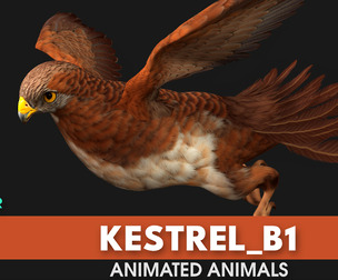 Kestrel_B1