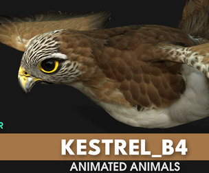 Kestrel_B4