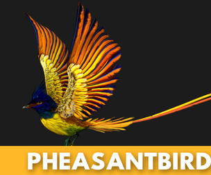 Pheasant Bird A1