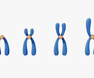 Types of Chromosomes
