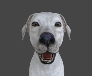 LFHB-001 Rigged Dog