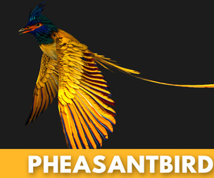 Pheasant Bird A2