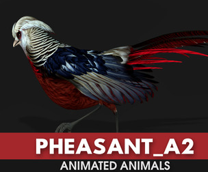 Pheasant_A2