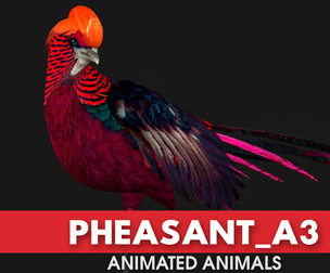 Pheasant_A3