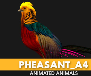 Pheasant_A4