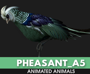 Pheasant_A5