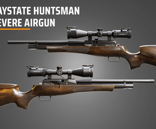 Daystate Huntsman  Revere Airgun