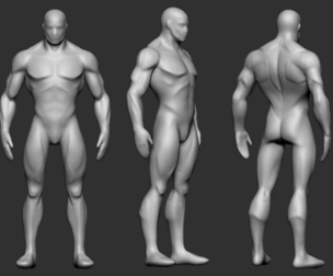 Stylized Male Basebody