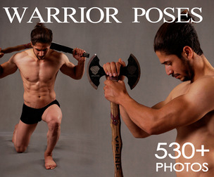 530+ Graceful Warrior Poses . Photo Reference Pack