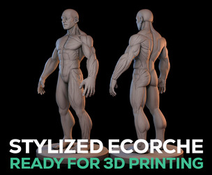 Stylized Ecorche - Ready to Print