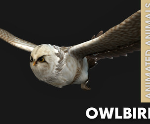 OwlBird_A1