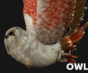 OwlBird_A2