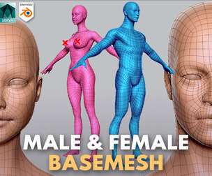 BaseMesh Male & Female - Topology + UV Map