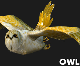 OwlBird_A4