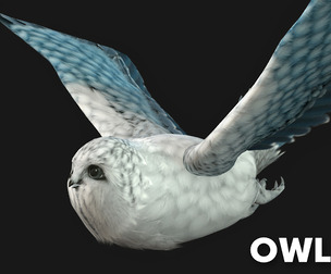 OwlBird_A5