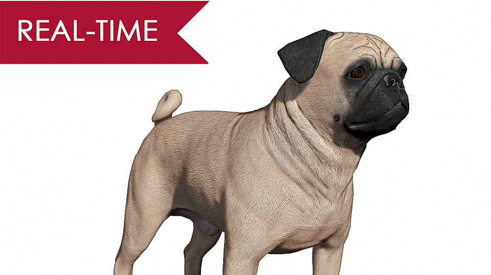 pug template rendering