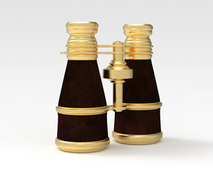 Binocular