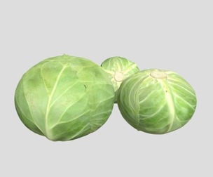 Cabbage