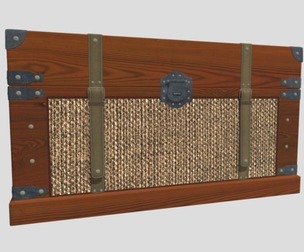 Chest