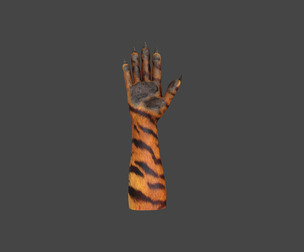 HAND-051 Rigged Right Hand