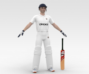 Cricket Batsman