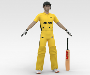 Cricket Batsman