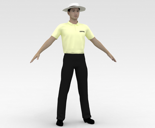 Cricket Umpire