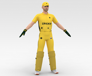 Cricket Wicket Keeper