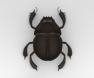 Egyptian Scarab