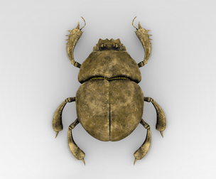 Golden Scarab