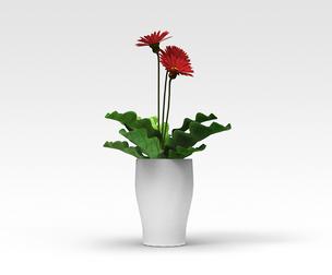 Pot plant