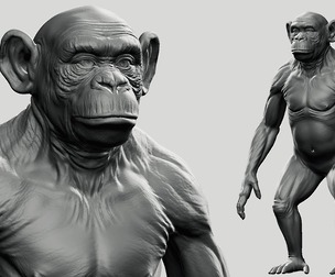 Chimpanzee - Topology + UV Map