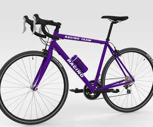 Racing Bicycle - Purple