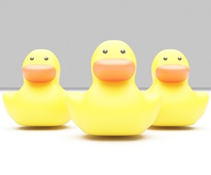 Rubber Duck