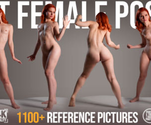 1100+ Art Female Poses