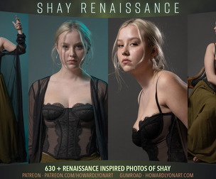 Shay Renaissance
