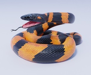 Bismarck Ringed Python - Animated