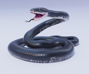 Black Rat Snake - Animated