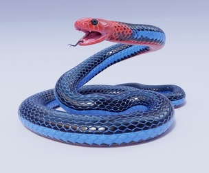 Blue Coral Snake - Animated