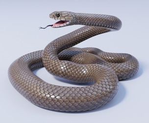 Eastern Brown Snake - Animated
