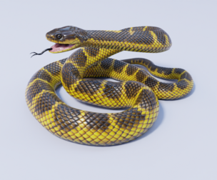 Tiger Snake - Animated