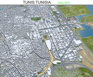 Tunis city Tunisia 3d model 30km