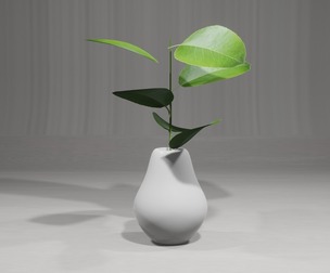 Decorative Plants