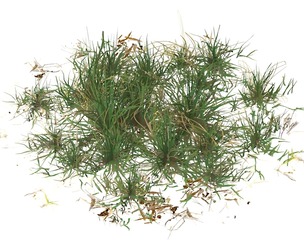 Realistic Game Ready Grass 01