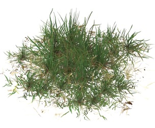 Realistic Game Ready Grass 03