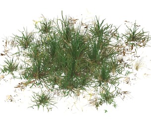 Realistic Game Ready Grass 05