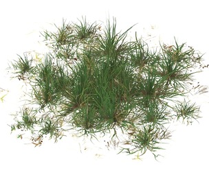 Realistic Game Ready Grass 07