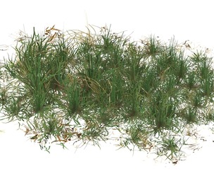 Realistic Game Ready Grass 09